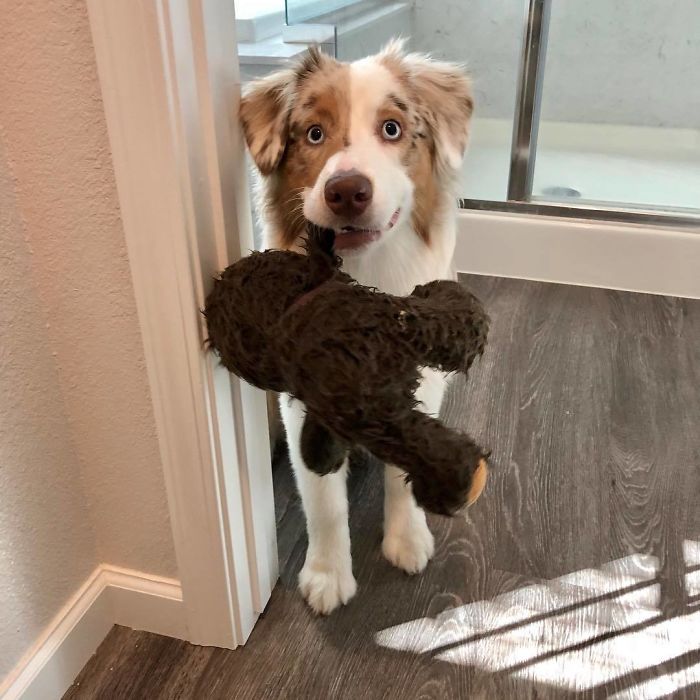 Privacy? What Is That?