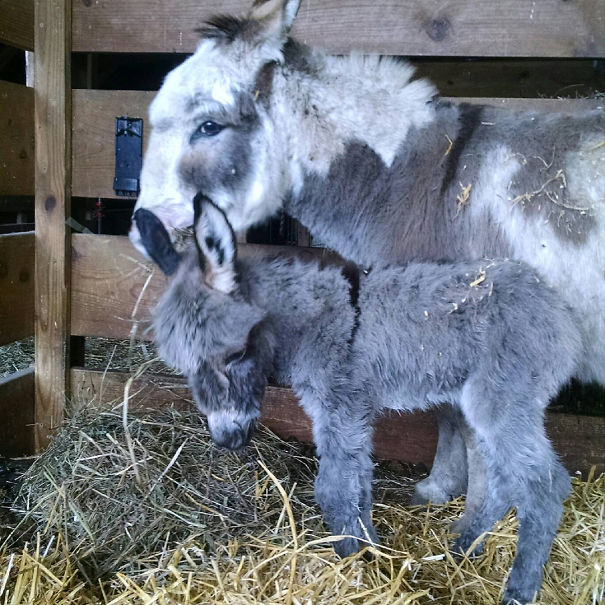 We Are Happy To Announce The Birth Of A Little Boy!