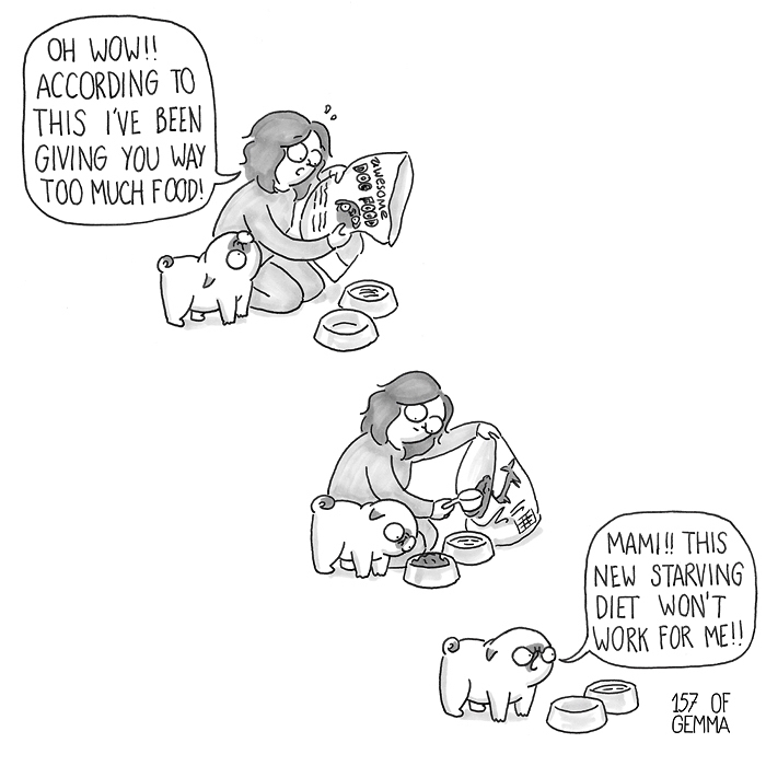 Pug-Mochi-Comic-Gemma-Gene-157ofgemma