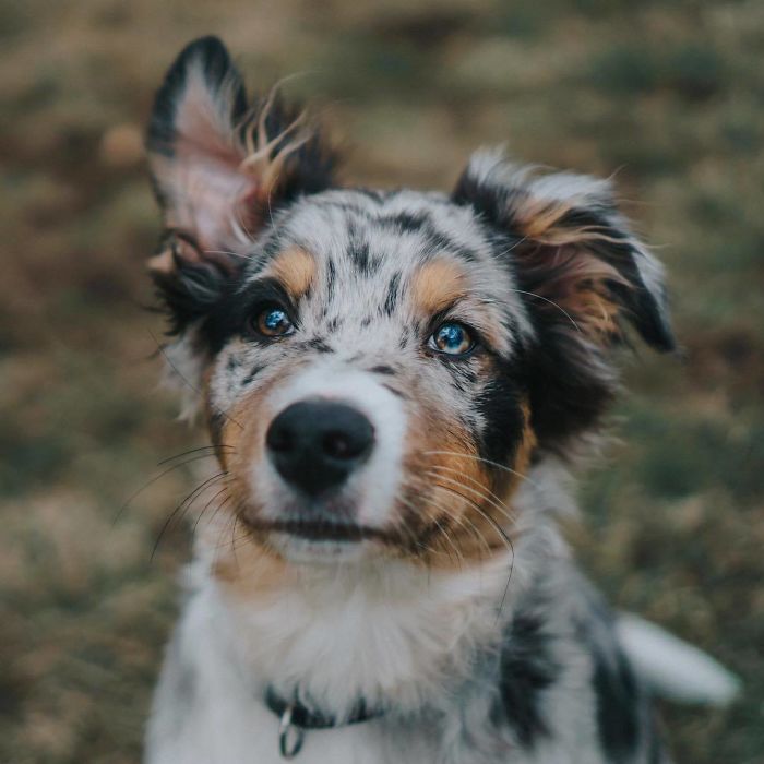 This Girl Can Do Anything