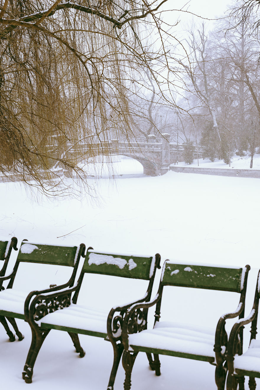 One Of The Bridges In Cismigiu Park And The Green Benches Lining The Whole Park