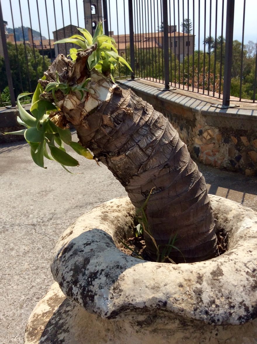 I Went To Sicily And Took Some Photos