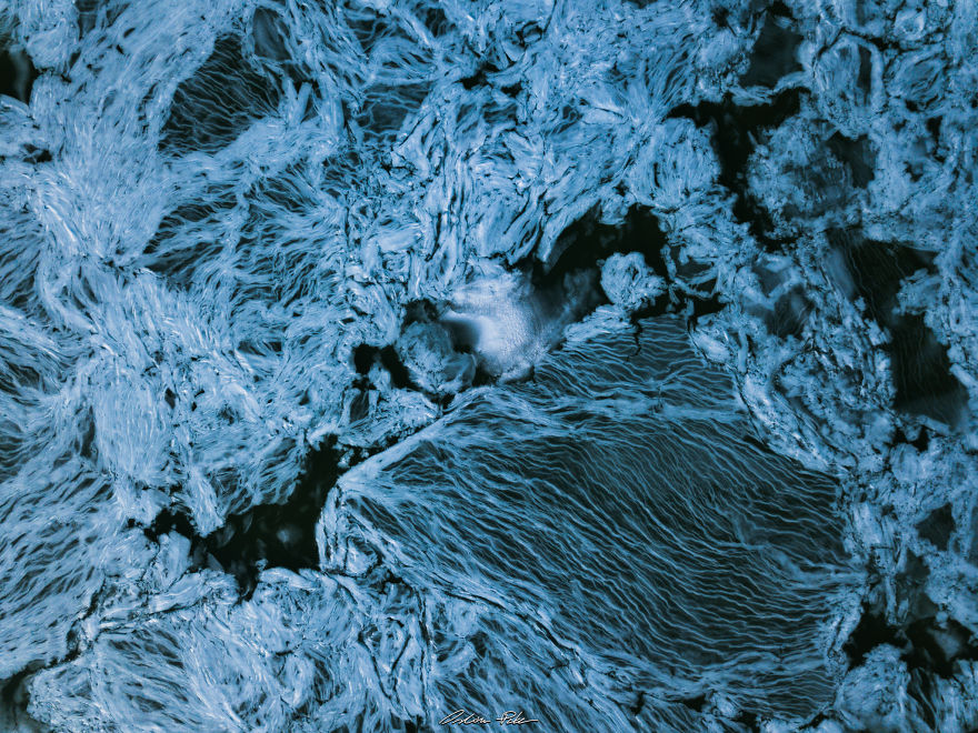 Drone Or Microscope?