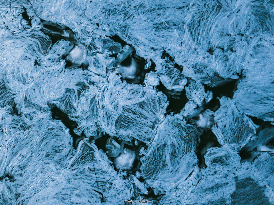 Drone Or Microscope?