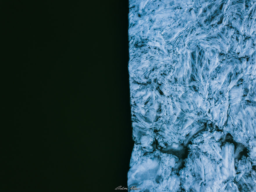 Drone Or Microscope?