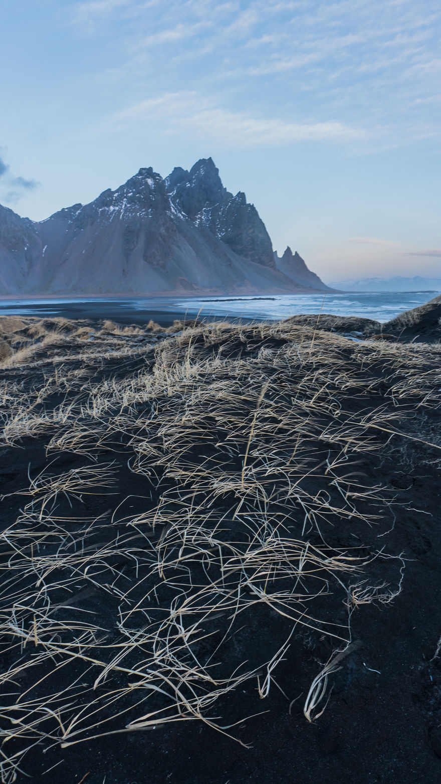 Vestrahorn Grasses