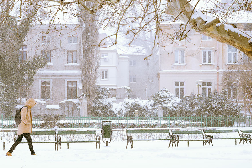 Passerby In Cismigiu Park