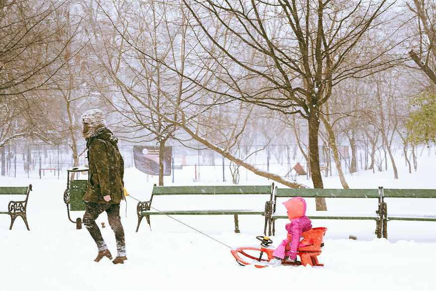 Sledding, The Best Transportation For The Little Ones In This Weather