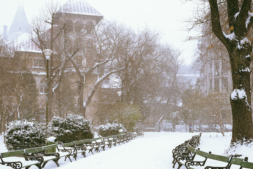 Elegant Pre-Communism Building Lining The Park