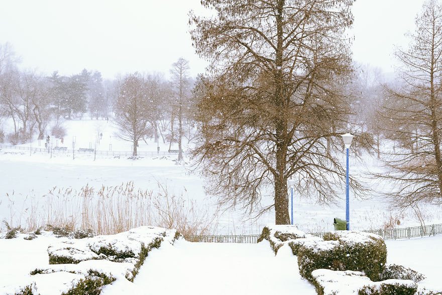 State Circus Park Which Hosts The Globus Circus And Its Beautiful Lake Which Is Home To Consistent Population Of Egyptian Lotuses In The Summer