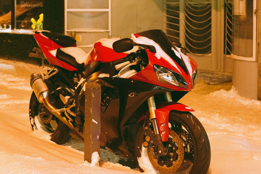 And A Hopeful Reminder That Spring Is Coming Soon