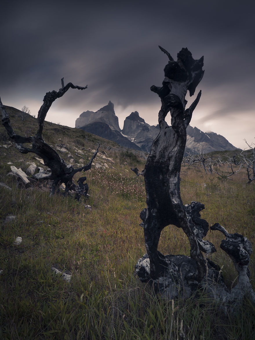 I Realized The Dream Of My Life And I Went To Patgonia