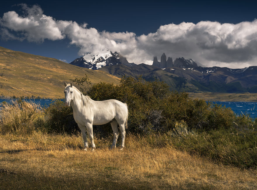 I Realized The Dream Of My Life And I Went To Patgonia I Realized The Dream Of My Life And I Went To Patgonia