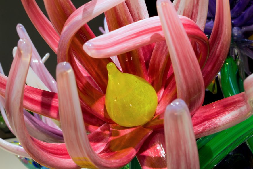 This Glass Sculpture Garden Will Get You Ready For Spring! This Glass Sculpture Garden Will Get You Ready For Spring!