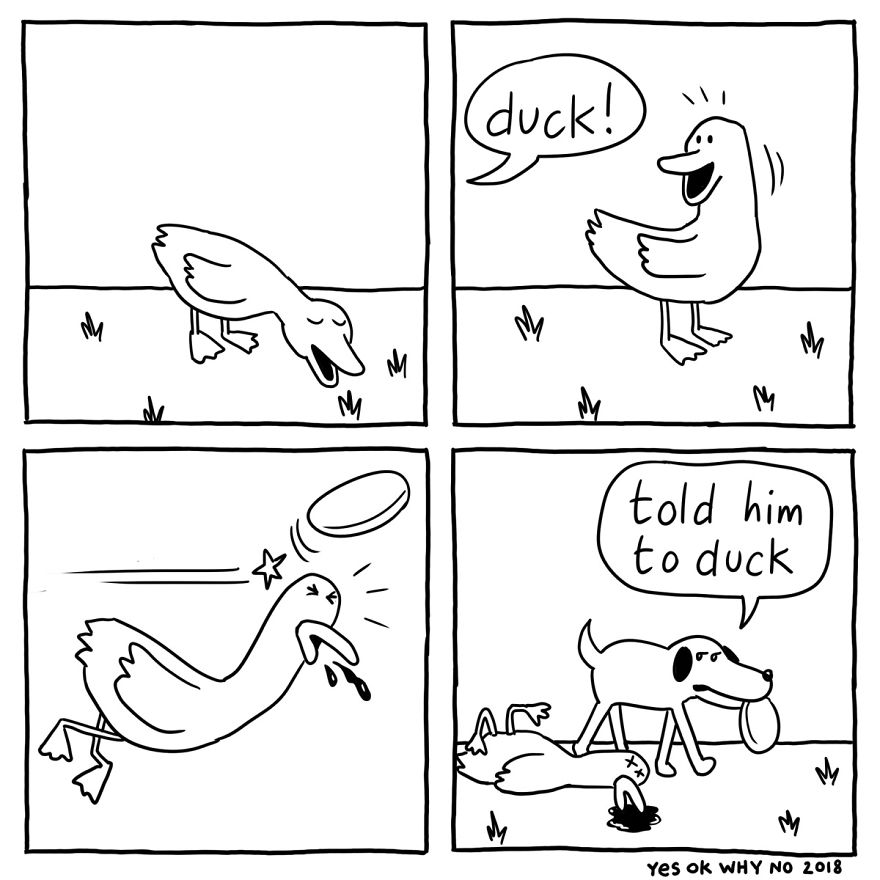 Duck