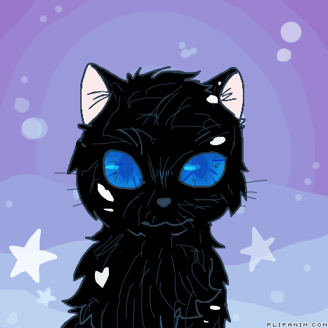 My Amateur Animations I Spent All Year On... And I&rsquo;m So Happy How They Turned Out