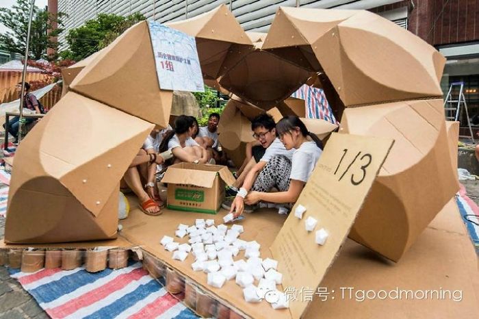 Amazing Cardboard House Exhibition Amazing Cardboard House Exhibition