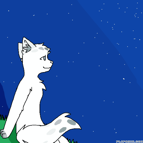 My Amateur Animations I Spent All Year On... And I’m So Happy How They Turned Out My Amateur Animations I Spent All Year On... And I’m So Happy How They Turned Out