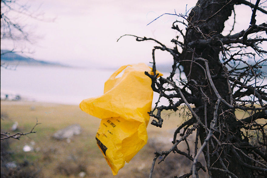 From A City Center To Suburban From A City Center To Suburban