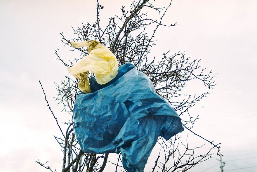 From A City Center To Suburban