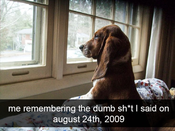 Funny-Dogs-Photos-Snapchats