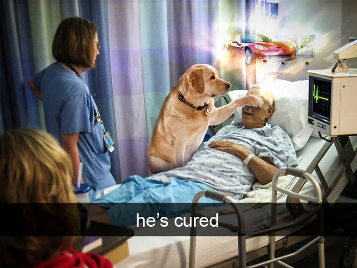 Funny-Dogs-Photos-Snapchats