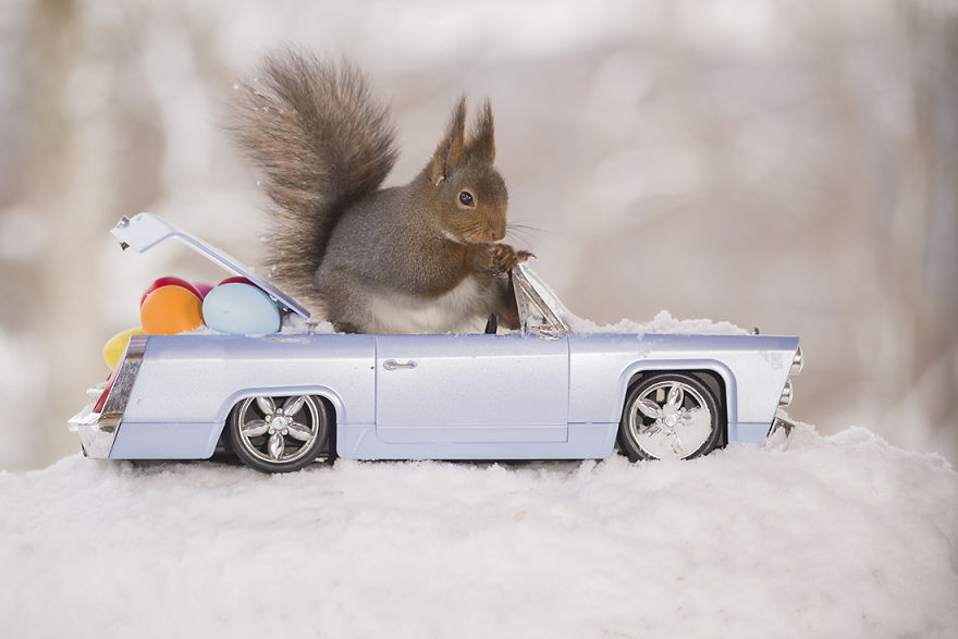 Wild Squirrels Celebrate Easter