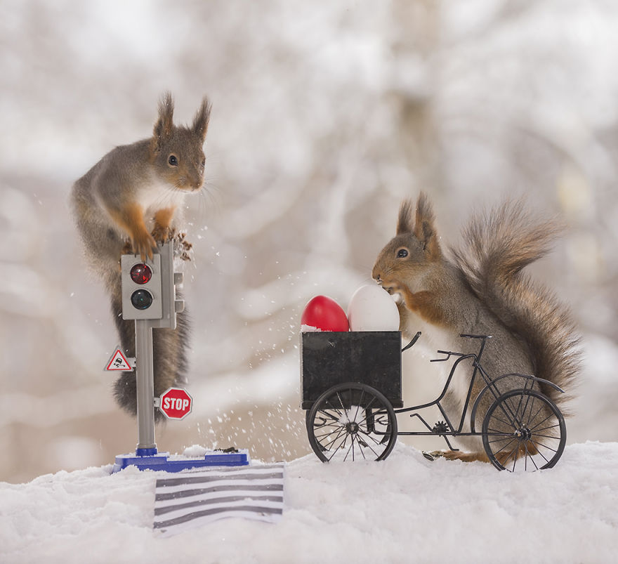 Wild Squirrels Celebrate Easter