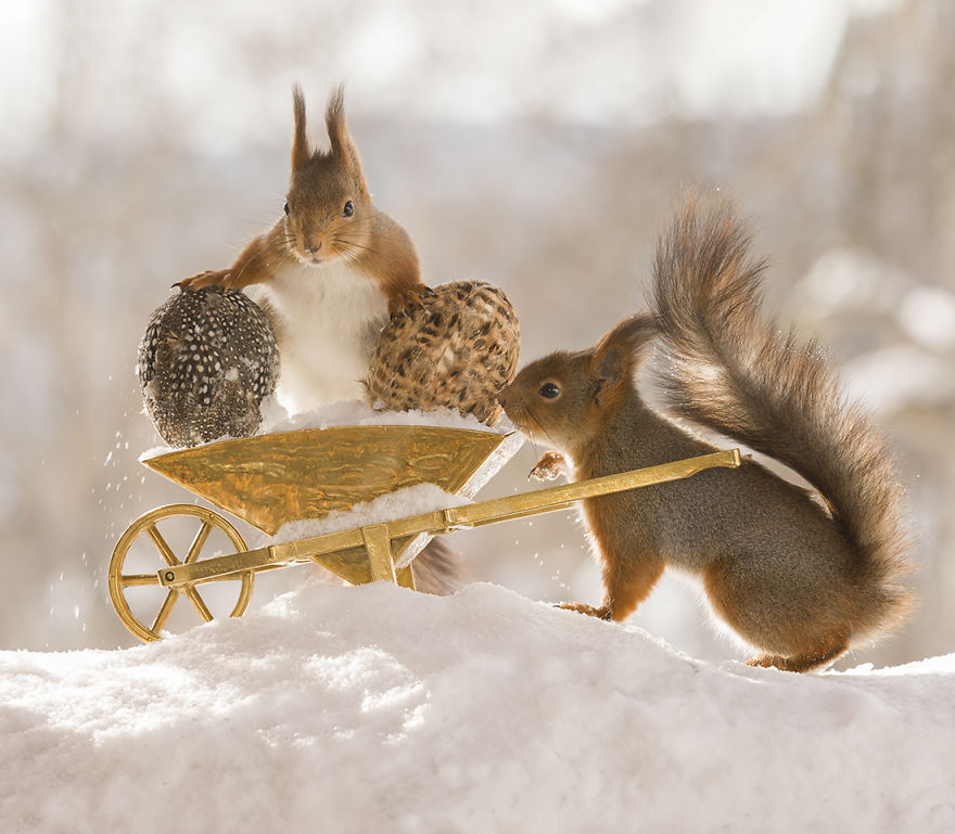 Wild Squirrels Celebrate Easter