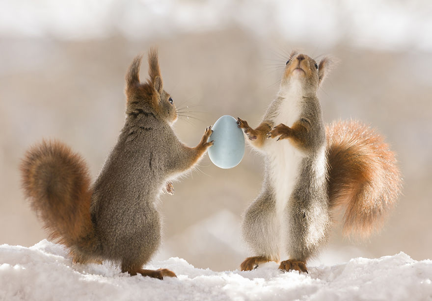 Wild Squirrels Celebrate Easter