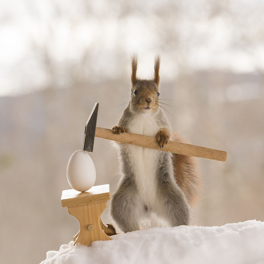 Wild Squirrels Celebrate Easter