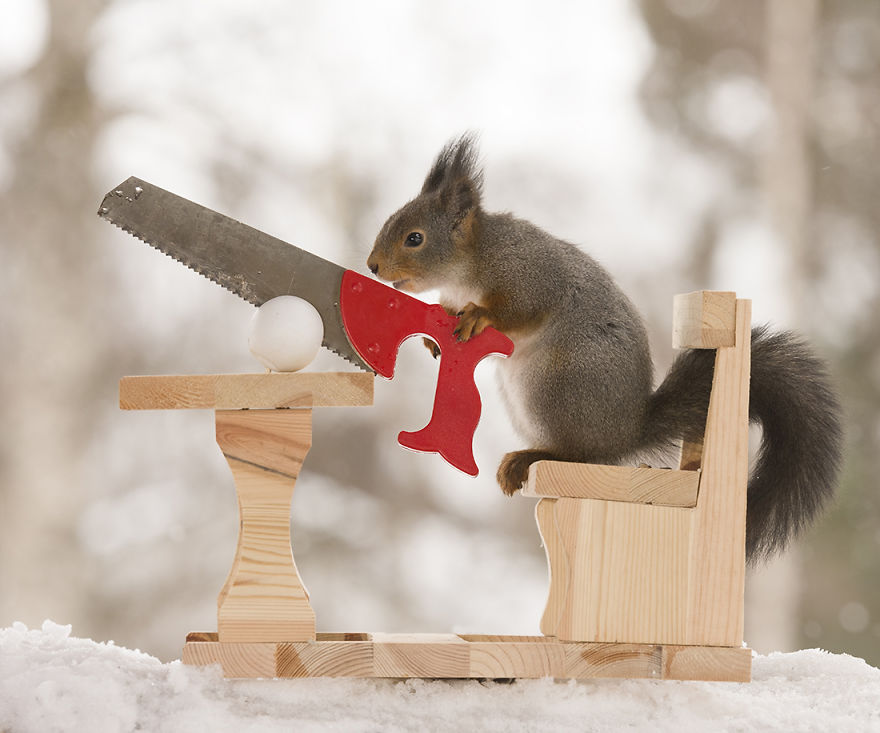 Wild Squirrels Celebrate Easter