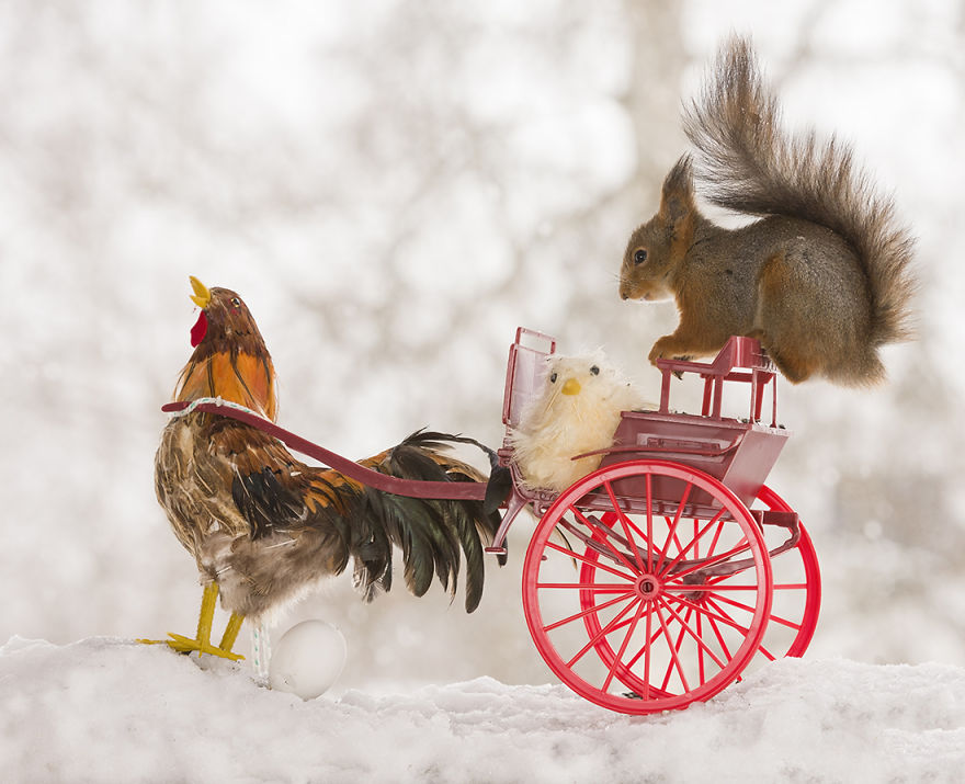 Wild Squirrels Celebrate Easter Wild Squirrels Celebrate Easter