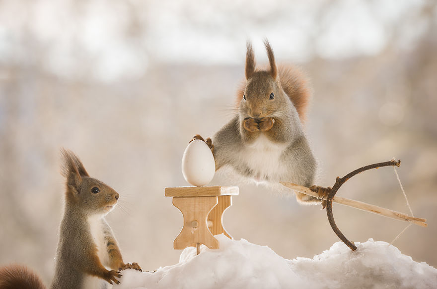 Wild Squirrels Celebrate Easter Wild Squirrels Celebrate Easter