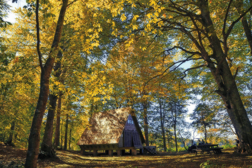 Georgia, Beyond The Little