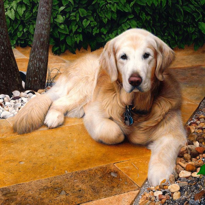 Girl Creates The Most Realistic Pictures With Color Pencils You Have Ever Seen