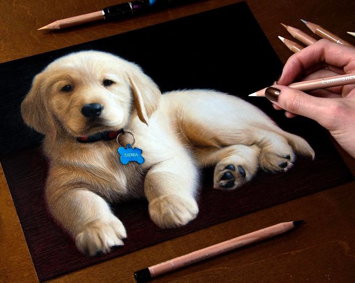Girl Creates The Most Realistic Pictures With Color Pencils You Have Ever Seen