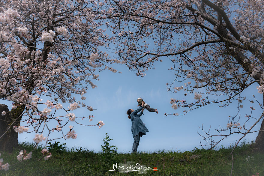 I Captured Sakura Bloom In Japan