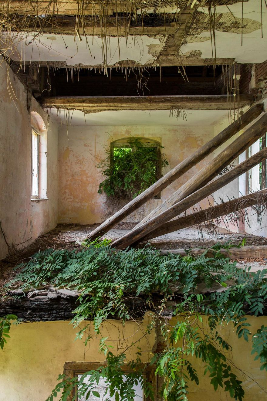 I Travel The World To Capture Amazing Pictures Of Nature Taking Back Abandoned Places