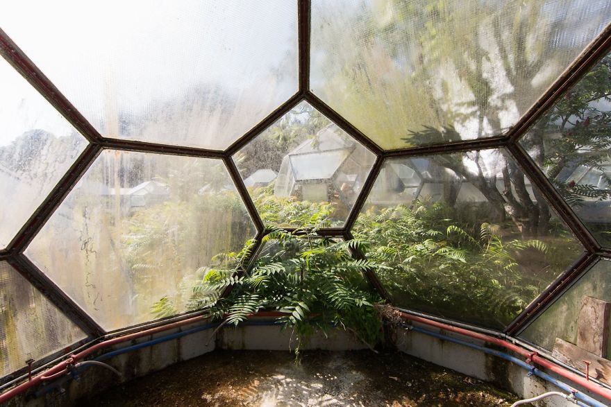 I Travel The World To Capture Amazing Pictures Of Nature Taking Back Abandoned Places