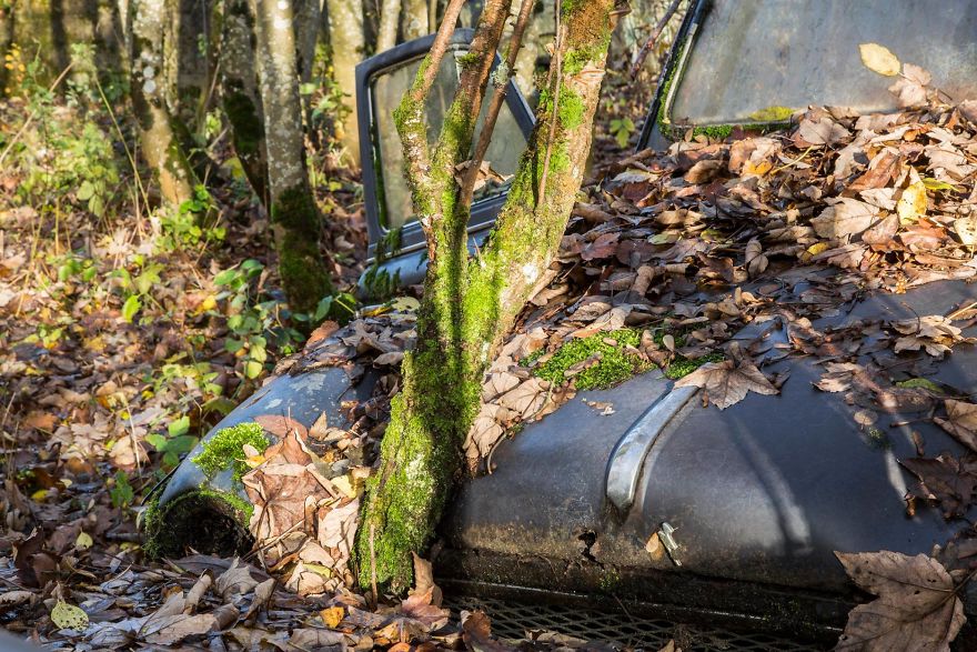 I Travel The World To Capture Amazing Pictures Of Nature Taking Back Abandoned Places