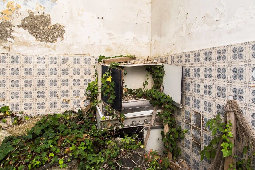 I Travel The World To Capture Amazing Pictures Of Nature Taking Back Abandoned Places