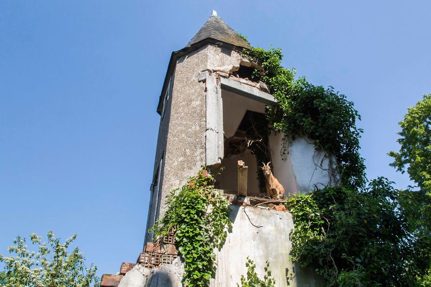 I Travel The World To Capture Amazing Pictures Of Nature Taking Back Abandoned Places
