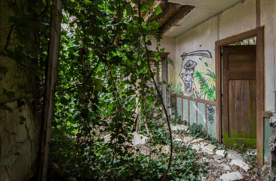 I Travel The World To Capture Amazing Pictures Of Nature Taking Back Abandoned Places