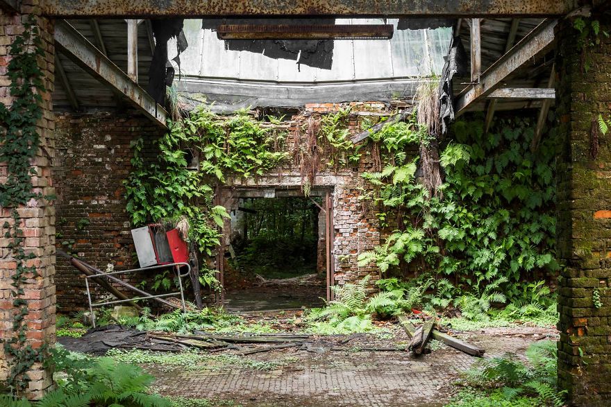 I Travel The World To Capture Amazing Pictures Of Nature Taking Back Abandoned Places