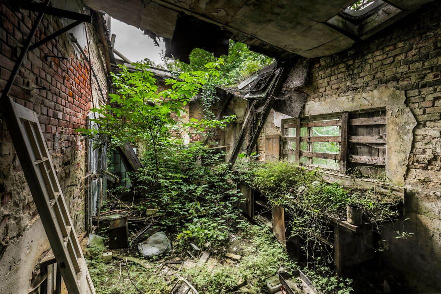 I Travel The World To Capture Amazing Pictures Of Nature Taking Back Abandoned Places