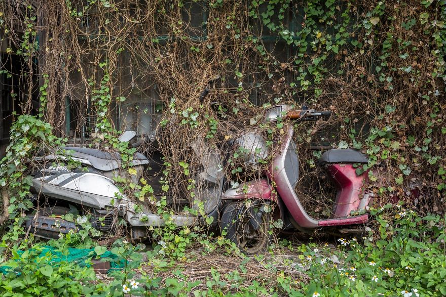 I Travel The World To Capture Amazing Pictures Of Nature Taking Back Abandoned Places