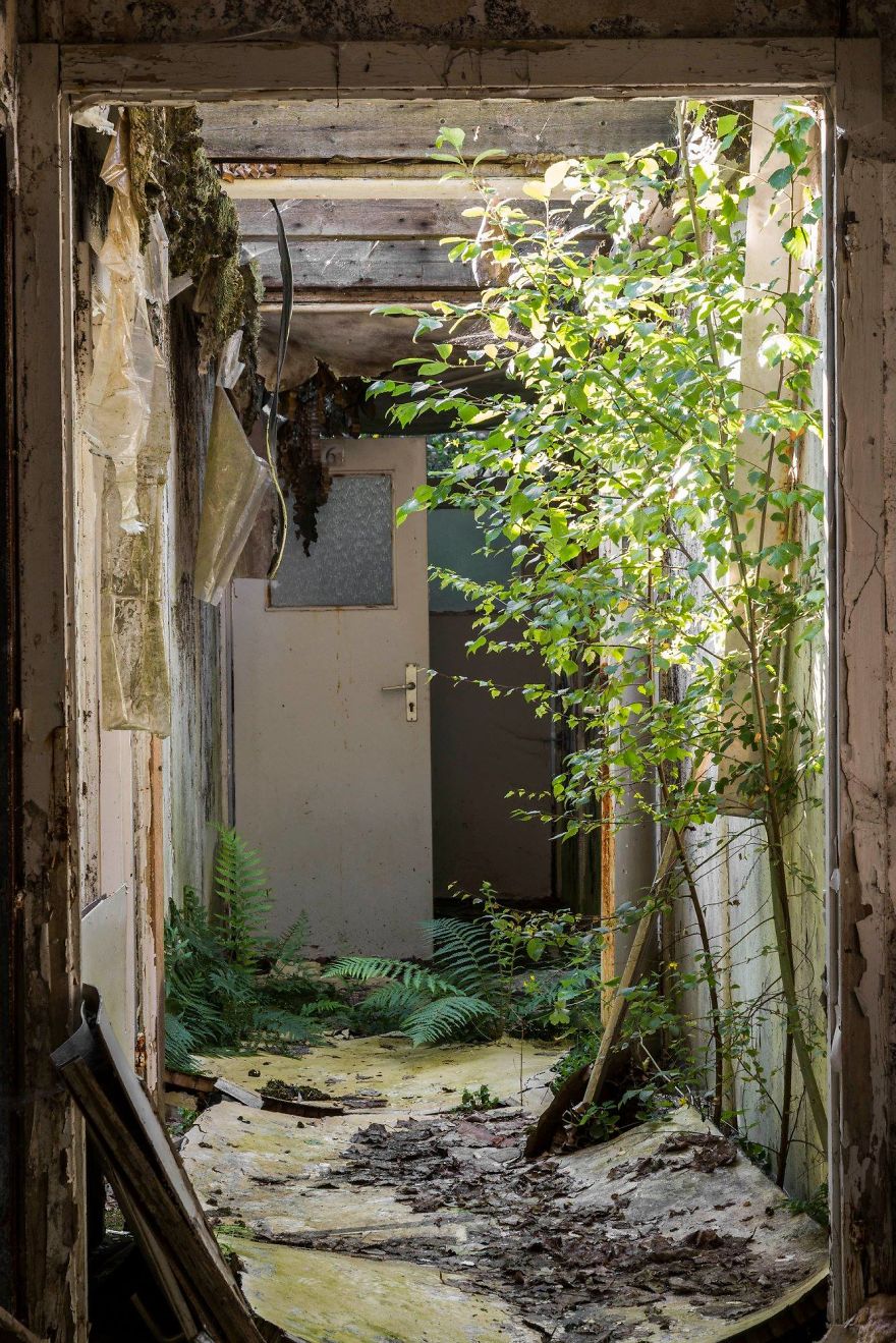 I Travel The World To Capture Amazing Pictures Of Nature Taking Back Abandoned Places