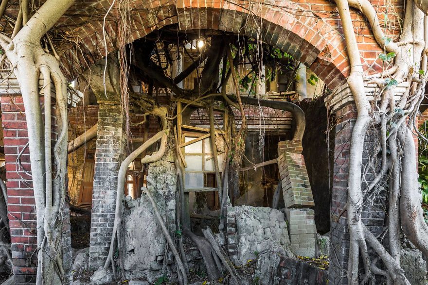 I Travel The World To Capture Amazing Pictures Of Nature Taking Back Abandoned Places
