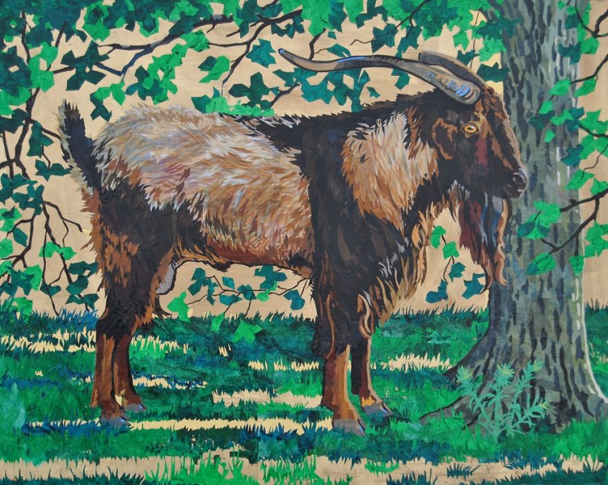 Inspired By Medieval Illuminated Manuscripts, I Created A Modern-Day Bestiary Of Rare And Endangered Farm Animals